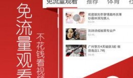 遂溪爆料头条视频曝光,视频曝光惊人内幕，真相令人震惊！