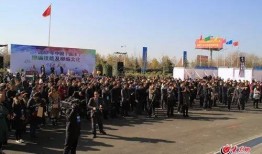 民间爆料视频临沭,真实事件引发社会关注